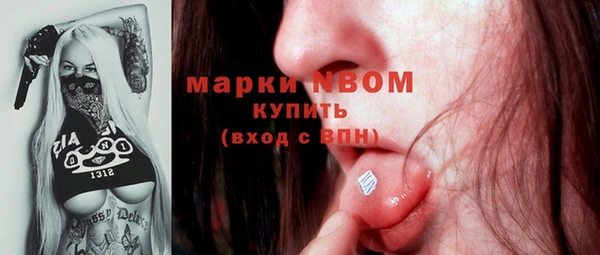 хмурый Белокуриха