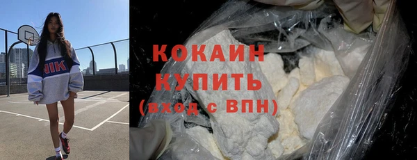 хмурый Белокуриха