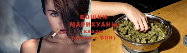 хмурый Белокуриха