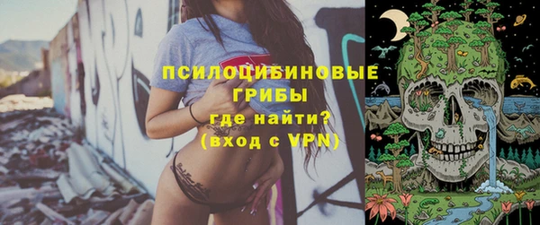 хмурый Белокуриха