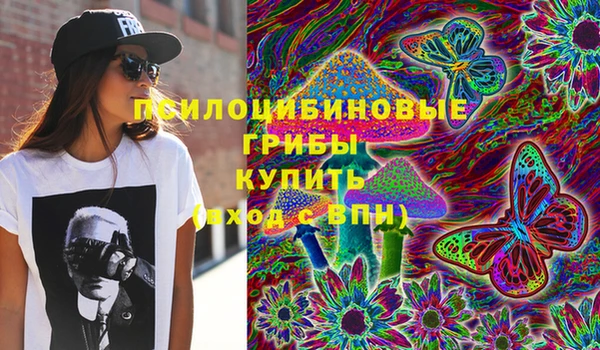 дживик Белоозёрский