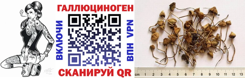 Купить где  Лагань  Псилоцибиновые грибы прущие грибы 